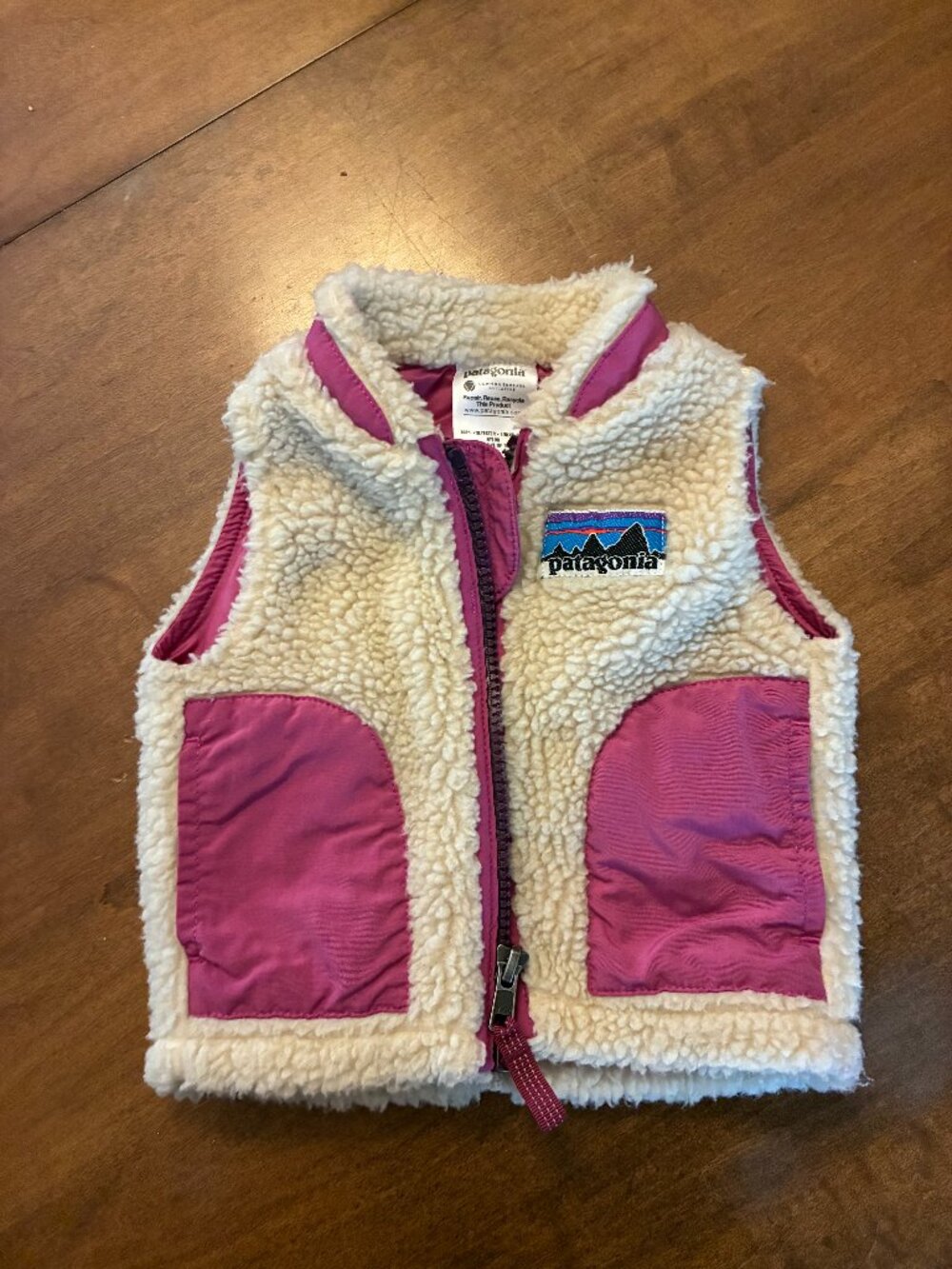 Patagonia Retro-X Fleece Vest